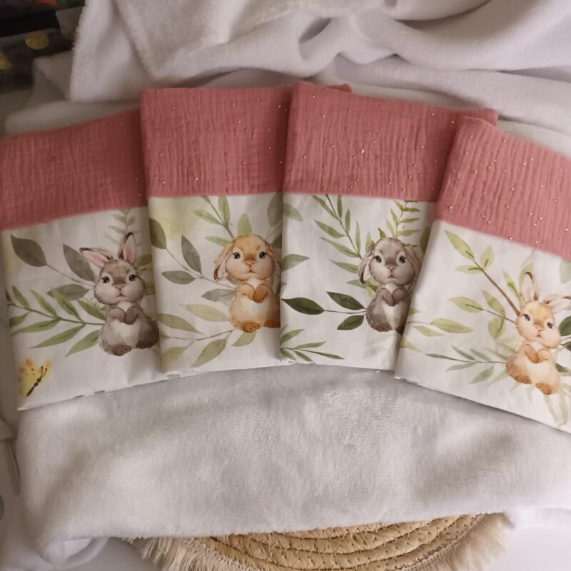 Carnet de Santé Lapin
